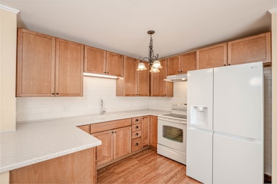 The Greens of Elgin unit 320, Elgin, IL 60123 - photo 6