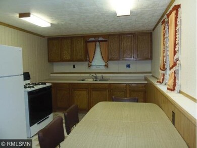 34288 255th Ave, Browerville, MN 56438 - photo 6