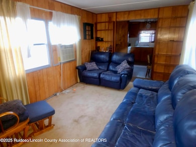 144 Blue Spruce, Ruidoso, NM 88345 - photo 3