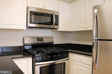 46878 Clarion Terrace unit 101, Sterling, VA 20164 - photo 5