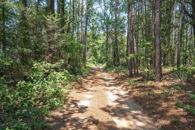 12971 County Road 285, Tyler, TX 75707 - photo 4