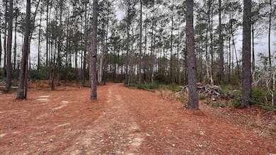1284 Cheyenne Rd unit Lot 1, Conway, SC 29526 - photo 2