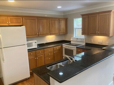 507 W Park St, Fredericksburg, TX 78624 - photo 4