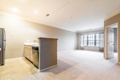 Open Kitchen-Family Room