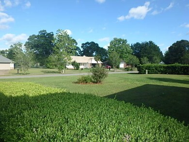 Front Yard 1