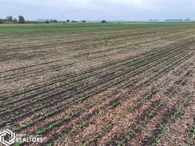 4177 Nuthatch Ave, Kensett, IA 50448 - photo 7