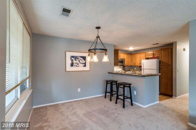 1506 Summerchase Ct unit 1506-C, Reston, VA 20194 - photo 6