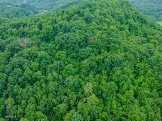 DJI_0104-HDR