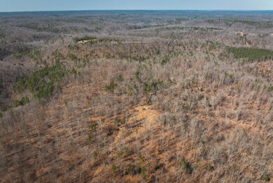 DJI_20240321145800_0181_D