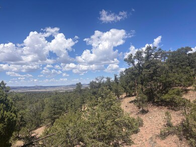 0 Lot 23 Tee Pee Ranch unit 1090346, Datil, NM 87821 - photo 5