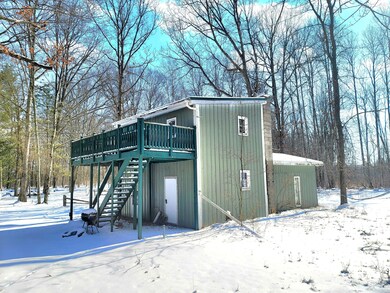 2333 Cass Ln, Bitely, MI 49309 - photo 6