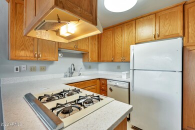 Main Kitchen 3