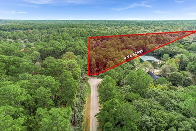 21701 Dan Dr, Magnolia, TX 77355 - photo 4