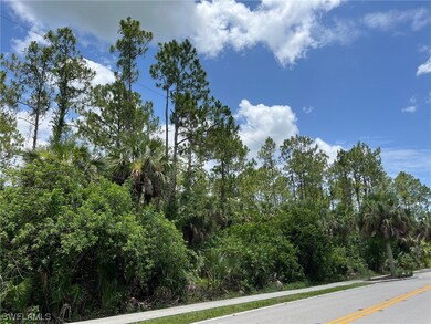 0 13th St SW unit 223047147, Naples, FL 34117 - photo 3