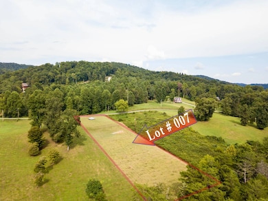 245 Old Leadmine Bend Rd, Sharps Chapel, TN 37866 - photo 6