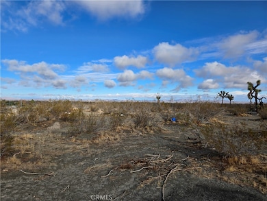 3100 Palmdale Rd, Phelan, CA 92371 - photo 3