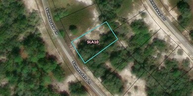 315 Summersale Ln, Other City - In the State of Florida, FL 33852 - photo 2