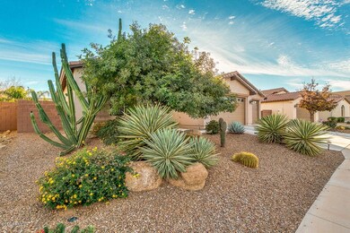 717 W Basswood Ave, San Tan Valley, AZ 85140 - photo 7