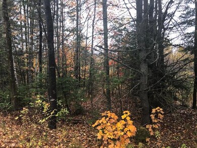 0 Parsons Landing Rd, Dover-Foxcroft, ME 04426 - photo 2