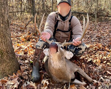 3590 Tuller Rd, Stonefort, IL 62987 - photo 4