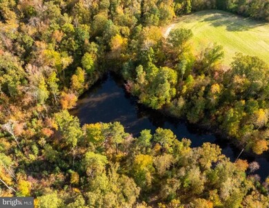 20787 The Trail, Little Plymouth, VA 23091 - photo 4