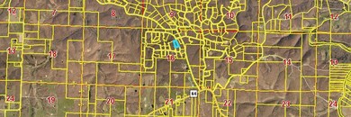 Timber Cir Aerial Far