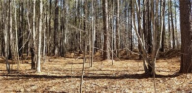 This 1.24 acre wooded lot has a relatively flat building envelope; Take down or leave up as many trees as you'd like; Lot perked in 2003 for a 4BR home; Bring your own builder and no time frame to build; The property is marked with orange tape and st