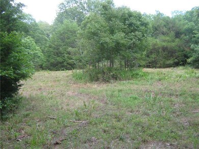 17039 Bethlehem Rd, Winslow, AR 72959 - photo 4