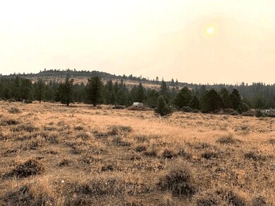 0 Crocodile unit 25654430, Bonanza, OR 97623 - photo 3