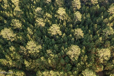 XXX Parrish Still Rd, Vernon, FL 32462 - photo 4