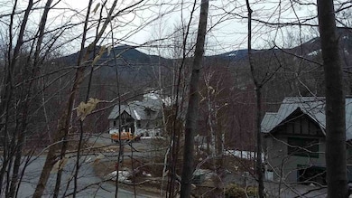 58 Westview Rd, Lincoln, NH 03251 - photo 6