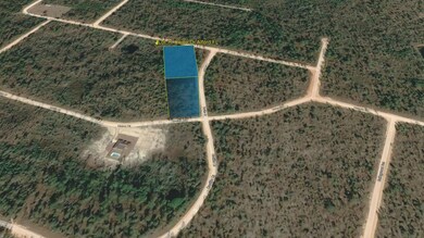 0 Union Dr, Alford, FL 32420 - photo 6