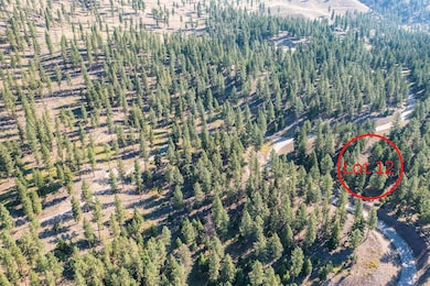 Lot 12 Stonefly Rd, Clinton, MT 59825 - photo 5
