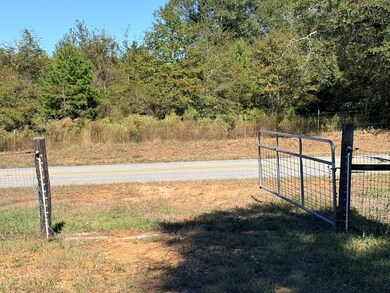 0 County Road 32, Newville, AL 36353 - photo 2