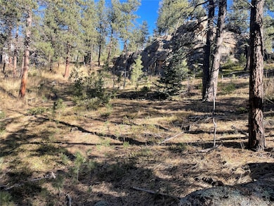 0 Shadow Mountain Dr, Conifer, CO 80433 - photo 4