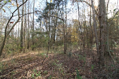 6.5 + - Ac Bookout Rd, Rock Hill, SC 29730 - photo 2
