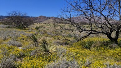 IMG_20200402_121016