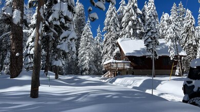 IMG_0898 3