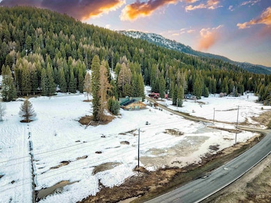 View of mountain backdrop with a heavily wooded area