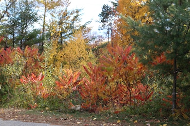 3 Beechwoods Dr, Bartlett, NH 03845 - photo 7