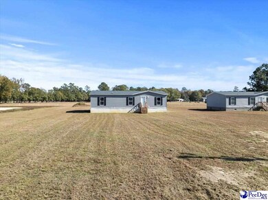 134 Sea Ray Ln, Marion, SC 29571 - photo 4