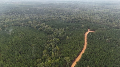 0 Scott Senter Rd, Fulton, MS 38843 - photo 3