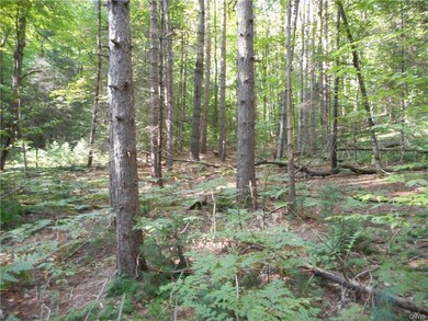 Lot / Land, The bottom of the property