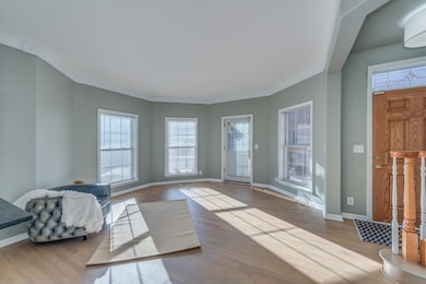 243 Box Car Ave, Naperville, IL 60540 - photo 6