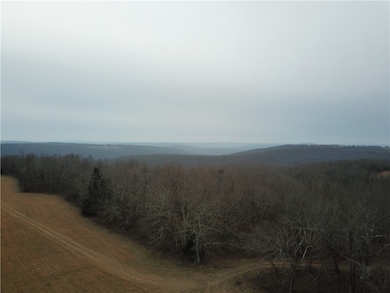 0 Liberty Rd unit 1296842, Leslie, AR 72645 - photo 5