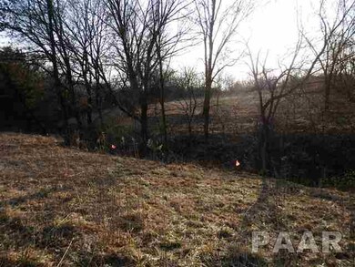 6.928 ac Kickapoo Edwards, Edwards, IL 61528 - photo 4