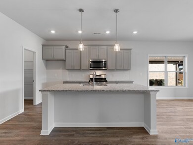 114 Huffman St, Hazel Green, AL 35750 - photo 4