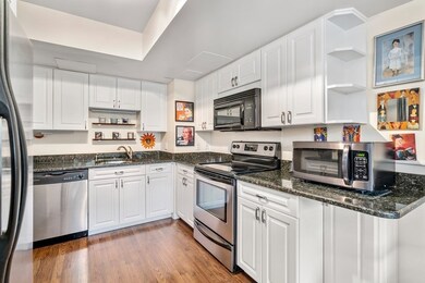 250 Hammond Pond Pkwy unit 414 North, Chestnut Hill, MA 02467 - photo 4