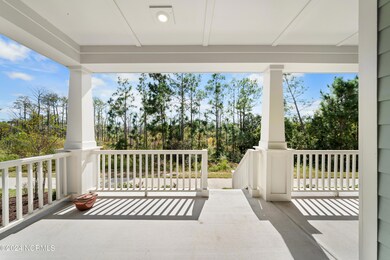 3949 Amaranth Aly, Wilmington, NC 28412 - photo 5