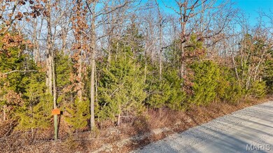 10465 County Road 5260, Cold Spring Township, MO 65401 - photo 2